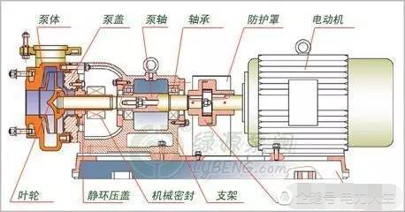 離心泵